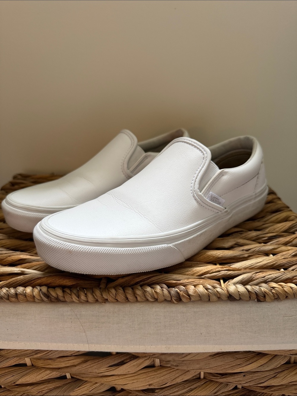 Vans Slip-On Skate Shoes in White